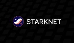 Care sunt avantajele utilizării StarkNet pentru dezvoltatorii de dApp-uri?