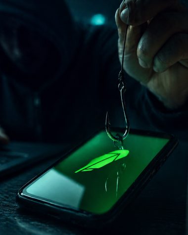 Atac de phishing rafinat prin sistemul oficial Robinhood