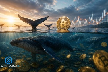 Balenele Bitcoin s-au înmulțit accelerat în timp ce prețul a stagnat