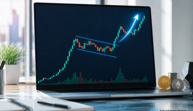 Bull flag în crypto, ce înseamnă și cum îl recunoști pe grafic
