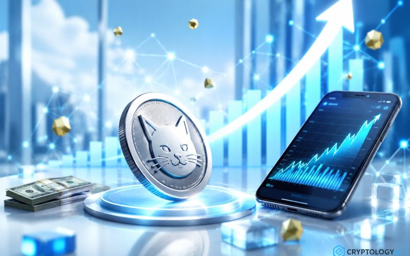 CASHCAT, cum au devenit 316 dolari 2,1 milioane pe Robinhood Chain